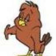 Henry Hühnerhabicht