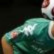 breit-maul-frosch 309