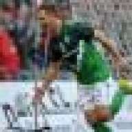 grün weißer prenzelberger