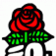 Demokratischer_Sozialist