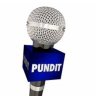 Pundit